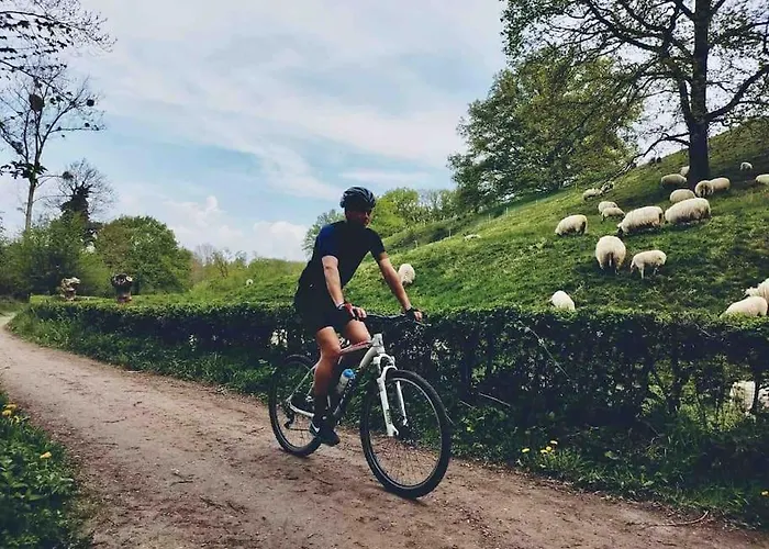 Charming Authentic Renovated Farm Holiday home