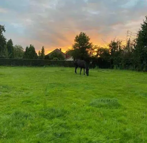 度假居 Charming Authentic Renovated Farm Cadier en Keer